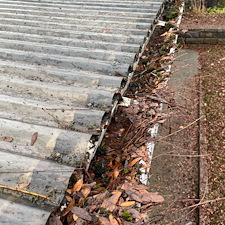 Pullman-Gutter-Clean-Out 1